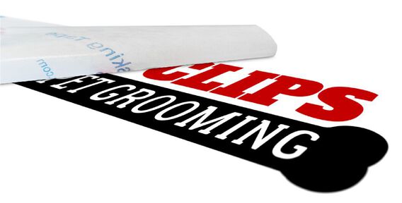 Window Lettering