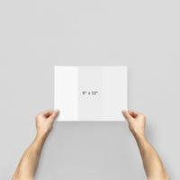 Brochures